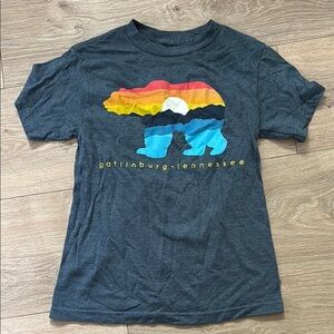 Gatlinburg Tennessee Kids Gray Blue T-Shirt with Colorful Bear Design